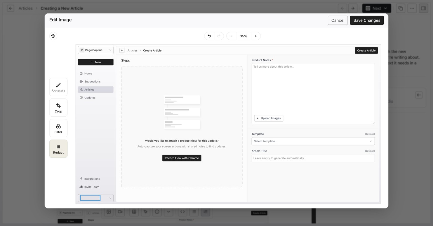Pageloop image editor with the Redact tool selected in the left-side menu, alongside Annotate, Crop, and Filter tools